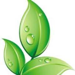 The best way to prepare for life is to begin to live.-Elbert Hubbard