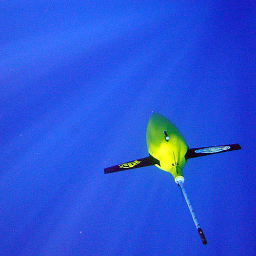 APinchOfSalt1's profile picture. Oceanographers at the University of East Anglia who will be at the Royal Society Summer Science Exhbition 2013 - come visit us 2nd - 7th July!