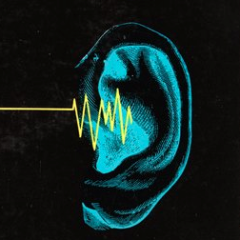 hsg_hsg's profile picture. ひっそりと。ゆっくりと。