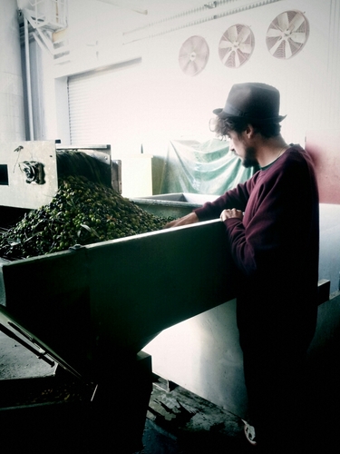 foreignbegga's profile picture. 