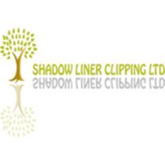 LinerImage's profile picture. 