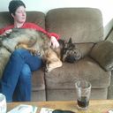 debbie jansen - @debbiejansen4 - Twitter