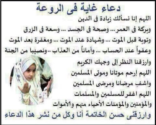 SANAA141's profile picture. 