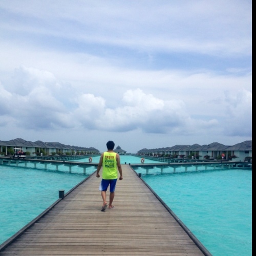 mossadalsaleh's profile picture. رب  إني لما أنزلت إلي من خير فقير