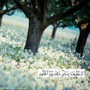 لولوه (@00221_) Twitter