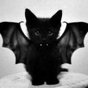 Allison Olsen - @allisonlea98 - Twitter