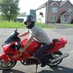 Steve Larin (@evets_niral) Twitter profile photo