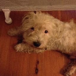 damienc1's profile picture. Journalist and Producer. Guilty of an occasional rant. Views are all my own. Kind and generous with everything, especially criticism