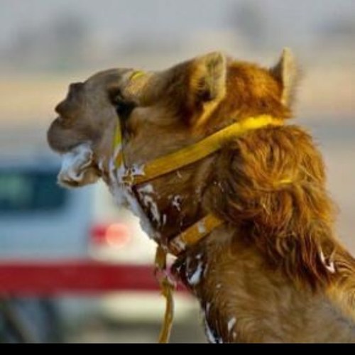 AaaaaaKkk112's profile picture. 