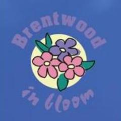 Our aim is to get everyone working together and  continue to make Brentwood a pleasant place to live and work.