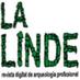La Linde Arqueología (@lalindearqueo) Twitter profile photo La Linde Arqueología (@lalindearqueo) Twitter profile photo
