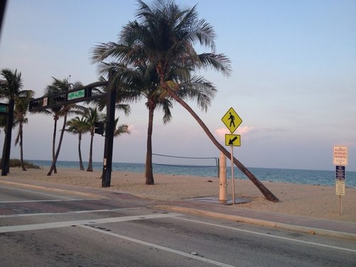 Lt32546's profile picture. 