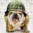 bulldogger27's profile image