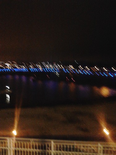 ReneeRo53481049's profile picture. 