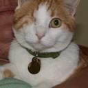 Virginia Barr - @Ginny_la_la - Twitter