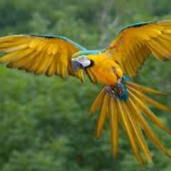 TweetGempak Profile Picture