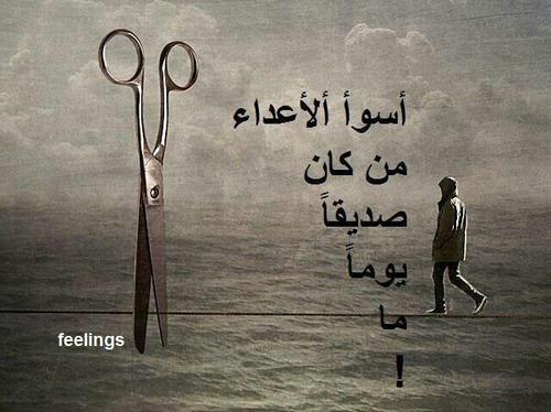 saeed_rabea's profile picture. 