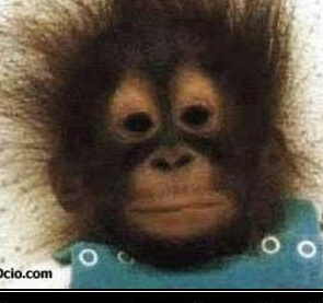 rey_kiwi's profile picture. burun burrun!!! vale no soy un coche pero si hecho humo