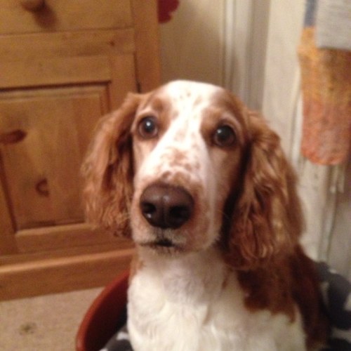 23101963's profile picture. 