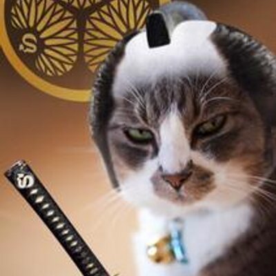 Tom2106P's profile image