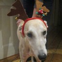 jon oakley - @OakleyJon - Twitter