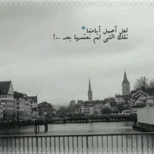 ربي اشرح لي صدري ويسر لي آمري .