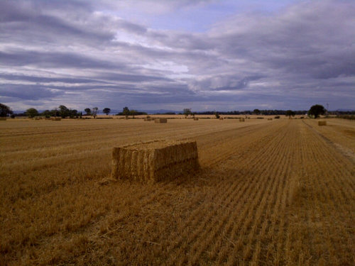 aidanmonaghan2's profile picture. Key.interests - Precision Farming, Sustainable and Efficient Food Production, Soil Scence