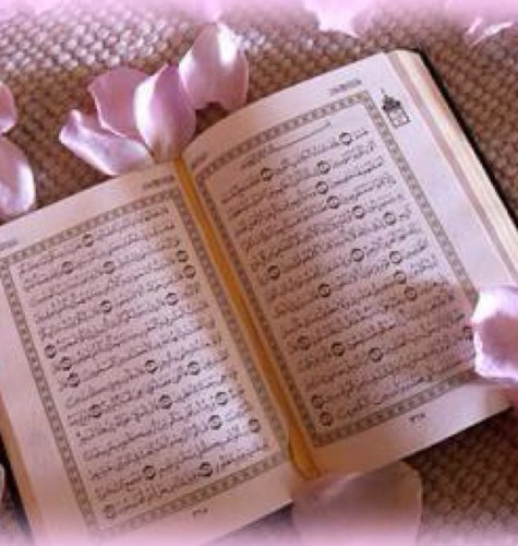 اللهم اجعل هذاالحساب صدقه لي والديني واخواتي والمسلمين اجمعين الاحياء منهم والاموات ❤