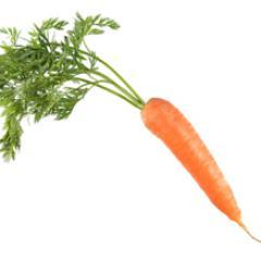 carrotさんのプロフィール画像