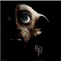 dobby is a free elf
you will not harm Harry Potter
tweeting all about harry potter