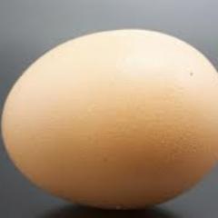 Kingoftuesday's profile picture. I am mostly liquid. I tried to count my electrons, but they kept wriggling about.