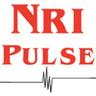 NRIPulse's profile picture. NRIPulse is an Atlanta based free monthly newspaper that serves the South Asian communities of GA and other south eastern states of the US.