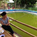 Tammy Phan - @thanhtamxnt - Twitter