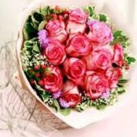 م/ جميلة الفندي (@j_alfandi) 's Twitter Profile Photo