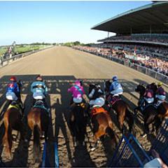 gemiv's profile picture. 