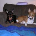 Chris Creager - @griffeymaxie - Twitter