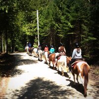 Cindys Riding Stable (@cindysstable) 's Twitter Profile