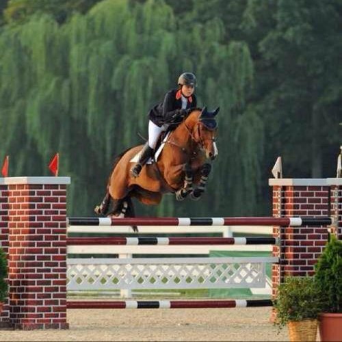 DailyHorseDose's profile picture. your favorite horse quotes - every day.