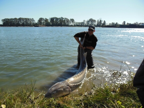 deckyg051's profile picture. 