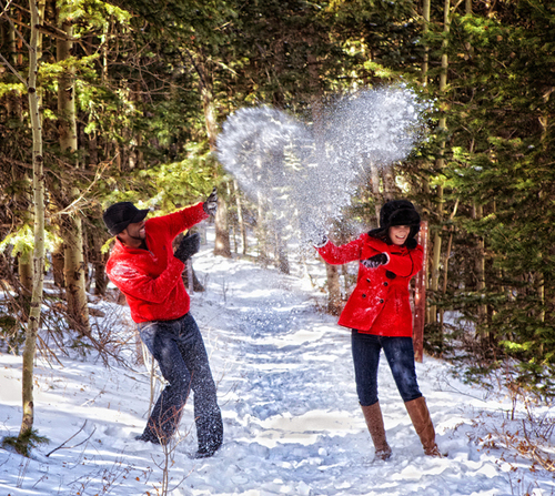 Blue Rose Studio Profile