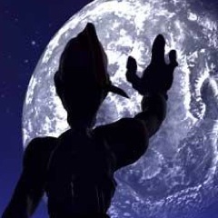 yopispo2's profile picture. 