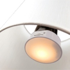 The IAV LightSpeaker is the first patented product to combine efficient LED lighting and WIRELESS sound into a single unit that installs like a lightbulb.