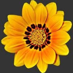 annemin ismi kara toprak
babamın ismi çiçek eller derviş.