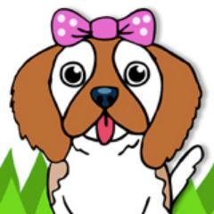 divine dog attire & more  Dog walking & pet sitting   http://t.co/KFo4GY20OF.