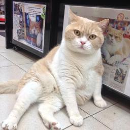 Tmingkong's profile picture. 