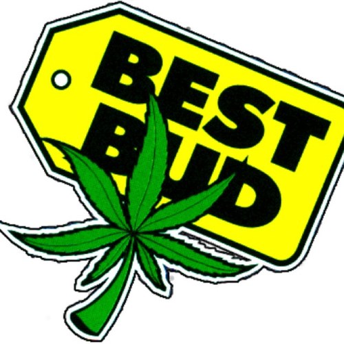 BestBudOfficial / providing all your stoners with the best weed tweets, pictures, quotes & just some life lessons. Always blazinn$ Pics of kush / buds / bongs