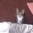 ST_blog's profile image