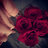 MISHA3L_'s profile image