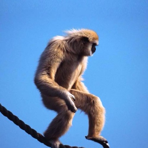 Lbrother1's profile picture. 