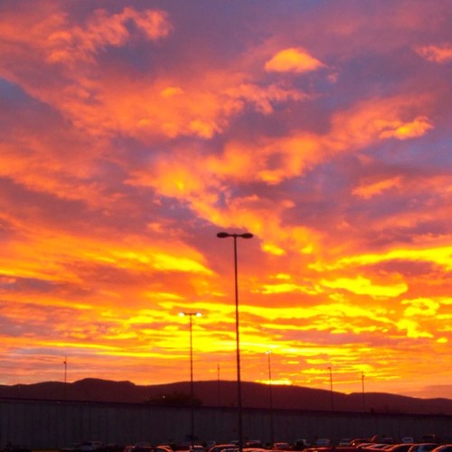 CharlesdCarlos's profile picture. 